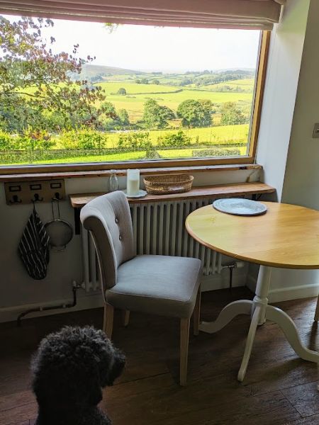 Dartmoor Hatchwell Farm