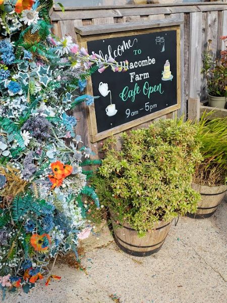 Ullacombe Farmshop